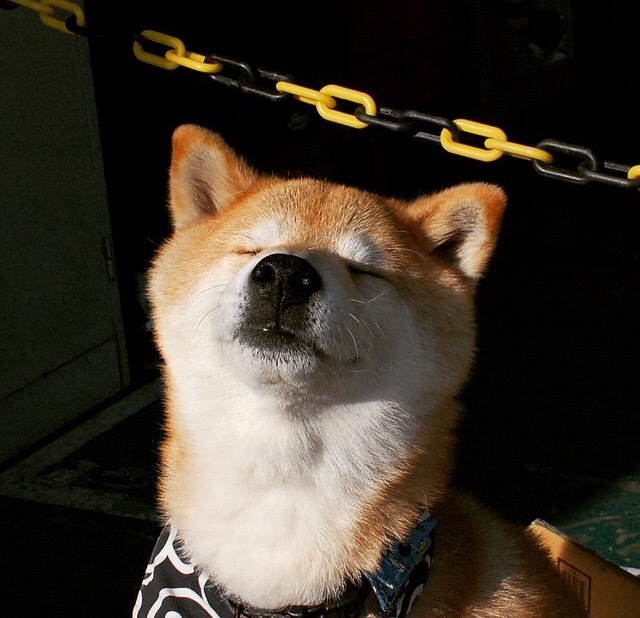 “峡谷穿梭:深山中的极速冲刺”,穿过峡谷