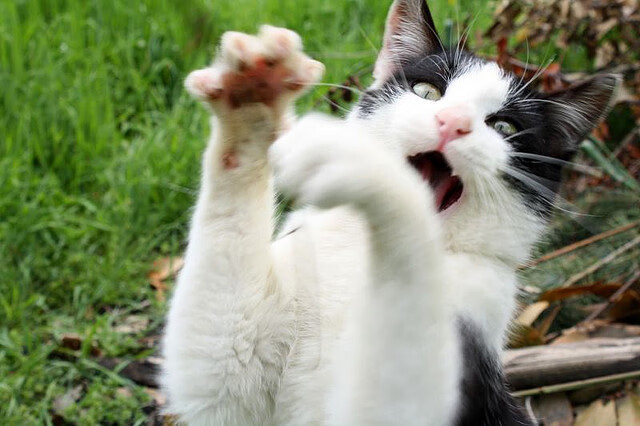 九游娱乐(jiuyou)官网-“荒野之战：沙丘与泥泞中的极限追逐”，荒野沙漠