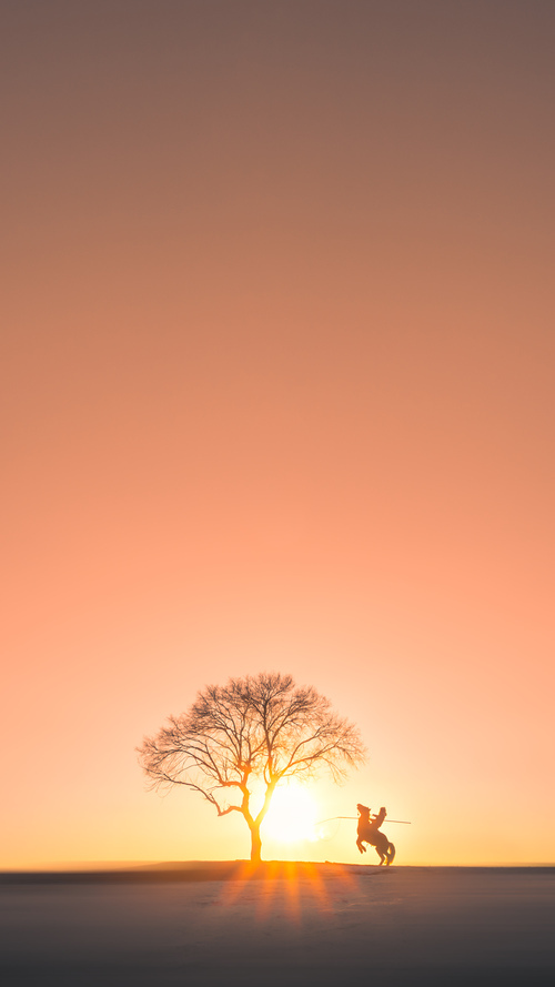 《知名战队揭秘：他们的成功之路》，知名战队名字