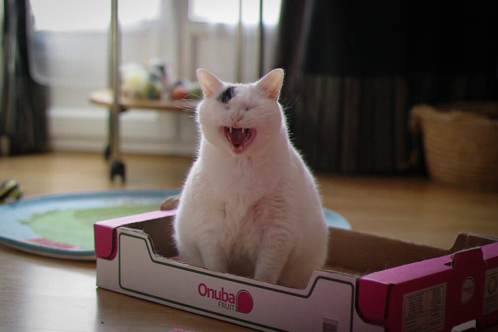 勇士连续两场爆发!,勇士两连胜