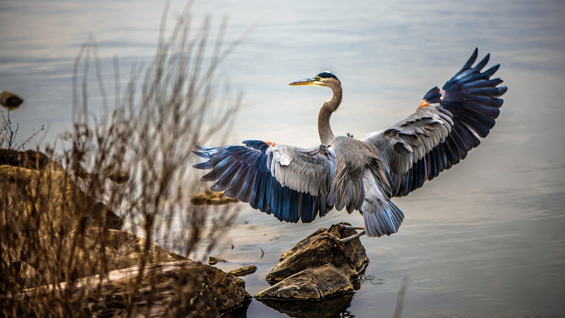 德甲关键扑救多次救主,比赛精彩片段频繁出现,德甲对抗