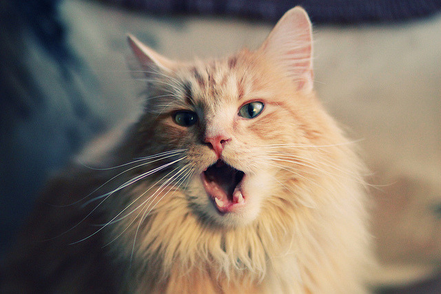 明星球员场外慈善行动感动球迷，nba球星慈善