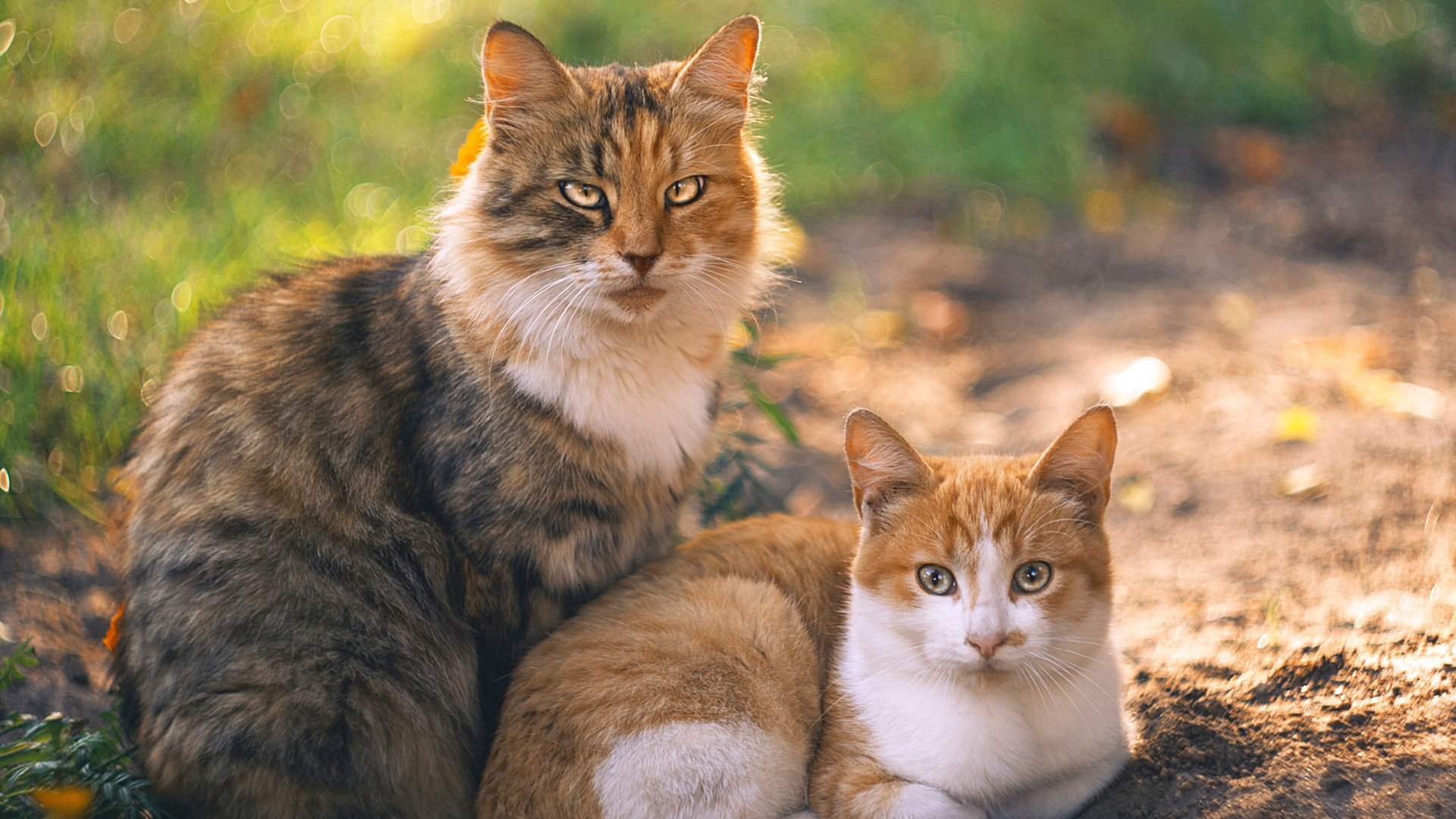 九游游戏中心官网-英超冲刺阶段，精彩反击和神级扑救成焦点，英超冲刺速度