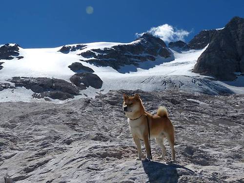 逆风飞扬：那些用坚强书写奇迹的球队，逆风飞扬的励志句子