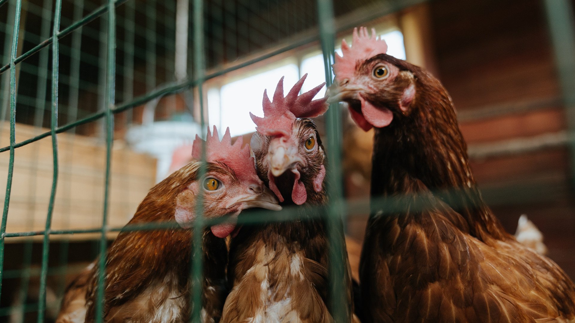 JIUYOU GAMING-C9携手教育机构推广电竞文化，校园电竞推广