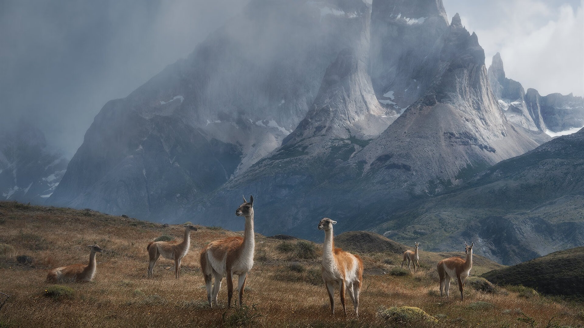 中国女足备战奥运会，信心满满，中国女足挺进奥运会