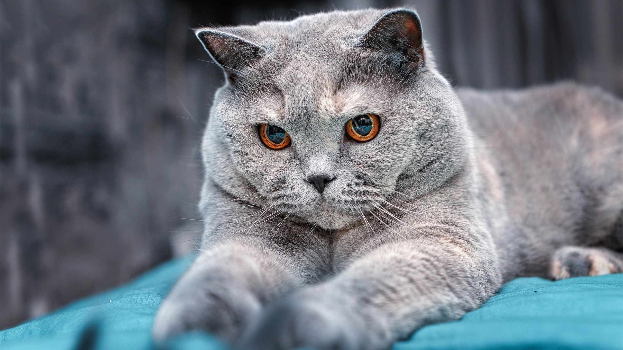 中超球队心理素质训练提上日程,中超球队训练基地一览2021年