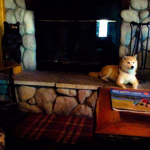 九游app下载中心-伊朗球员全票入选冬奥最佳阵容，伊朗想申办冬奥会