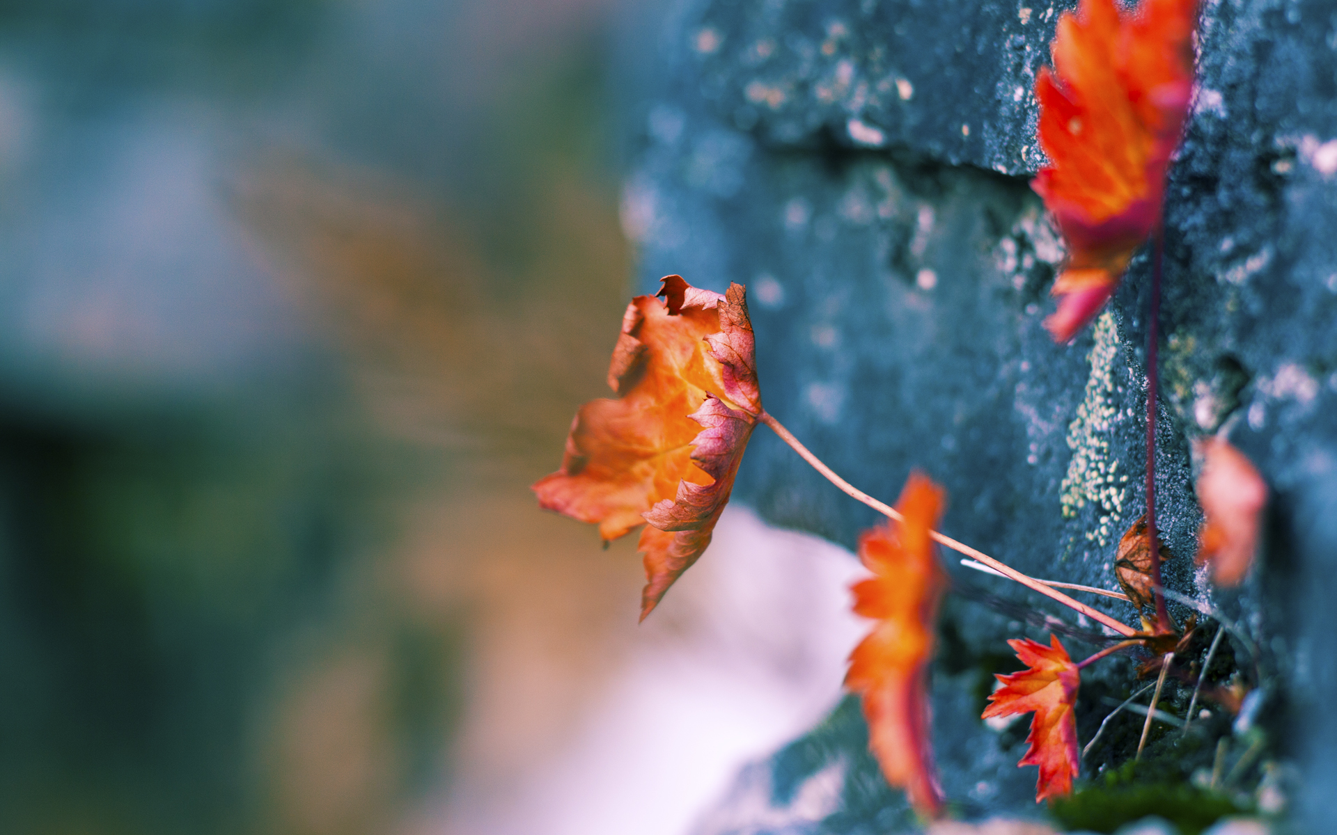 国际比赛又一次证明了实力，强队稳固排名榜首，国际比赛时间