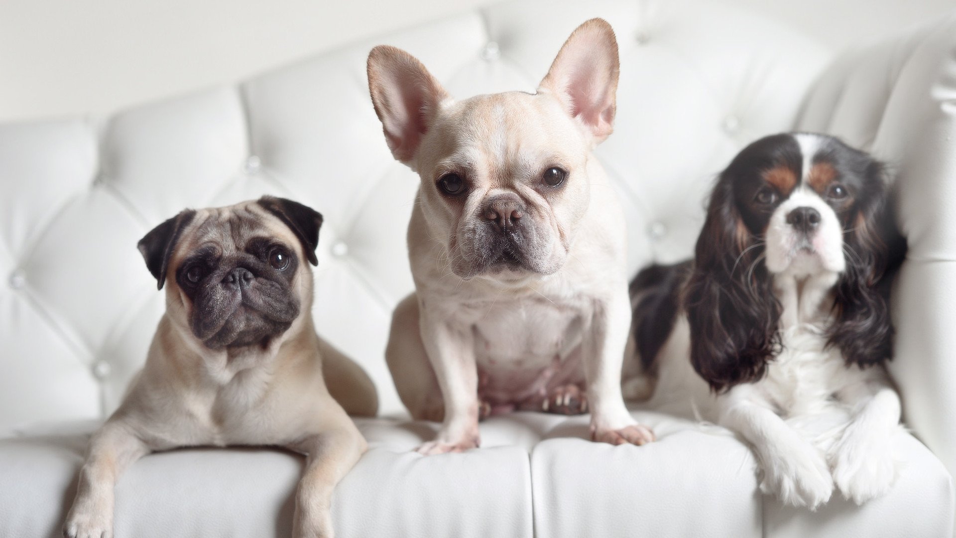 女足赛事吸引更多赞助商关注，女足踢比赛