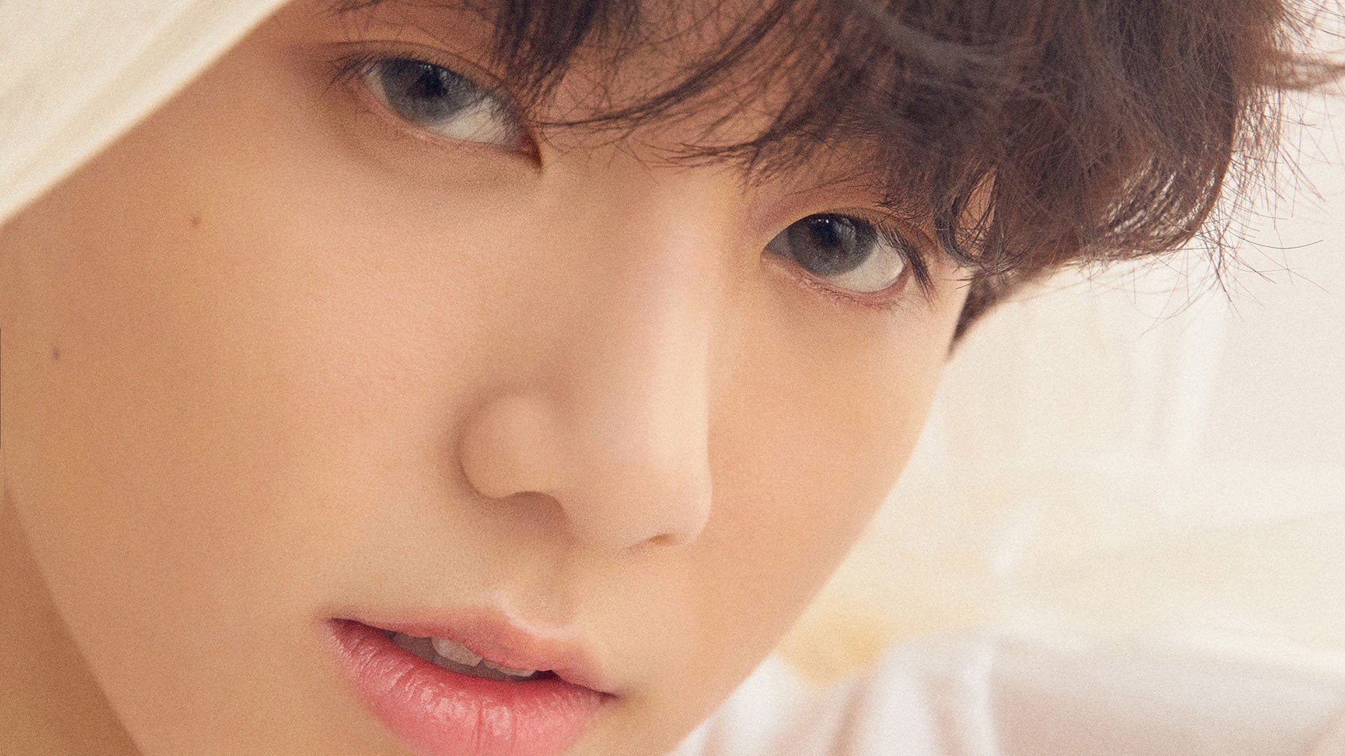 突尼斯青年球员快速成长，突尼斯联赛积分榜