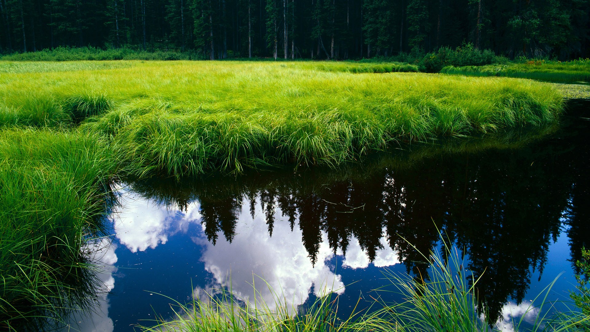 九游网页版入口-马赛签下青年队新秀，法甲冲击封王，马赛 法甲