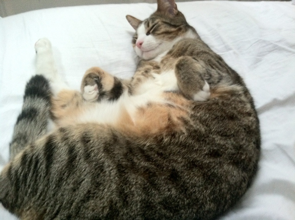 中国足球成绩斜率趋势分析，2021年中国足球水平