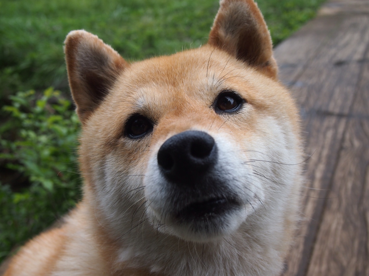 皇马追梦之旅:欧冠四分之一淘汰对决前瞻,皇马四年三欧冠