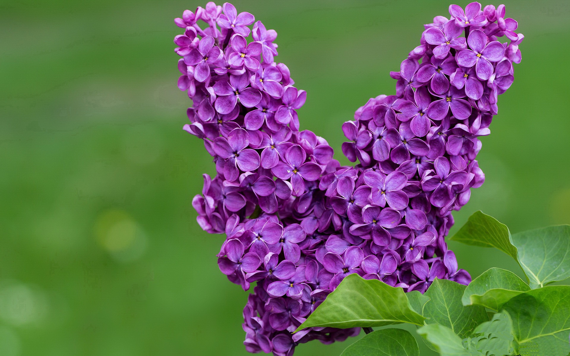 篮球运动员专项体能训练负荷精准监控技术研究，篮球运动员运动负荷量度