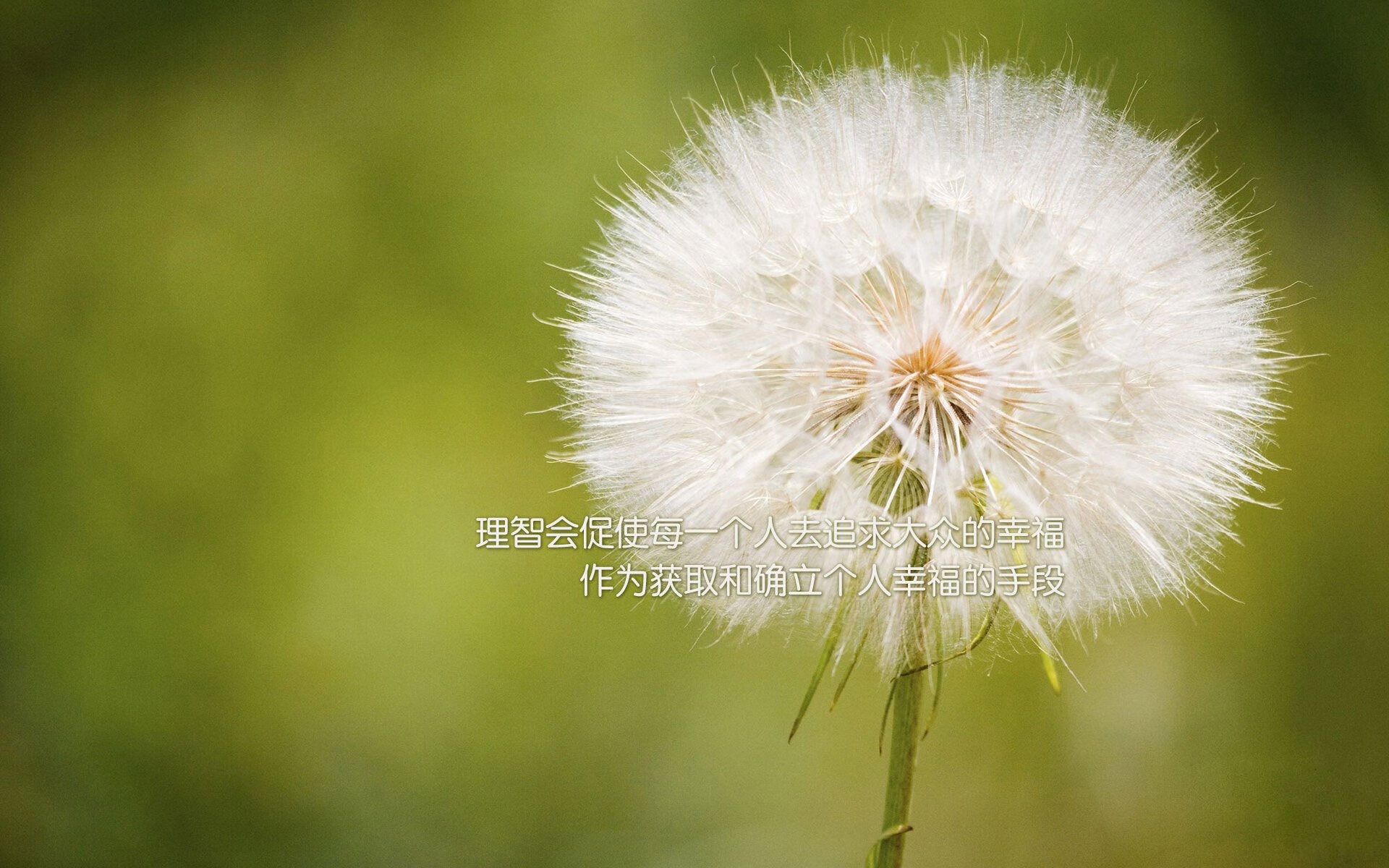 青少年体育社交平台用户行为特征及体验优化研究，青少年体育市场