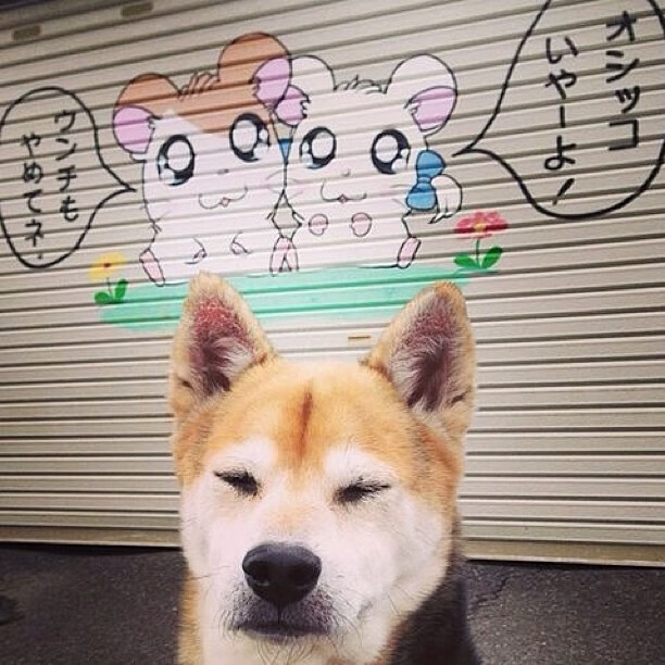 九游app下载中心-出发-转身-冲刺三段对比：美快中控，中稳后追