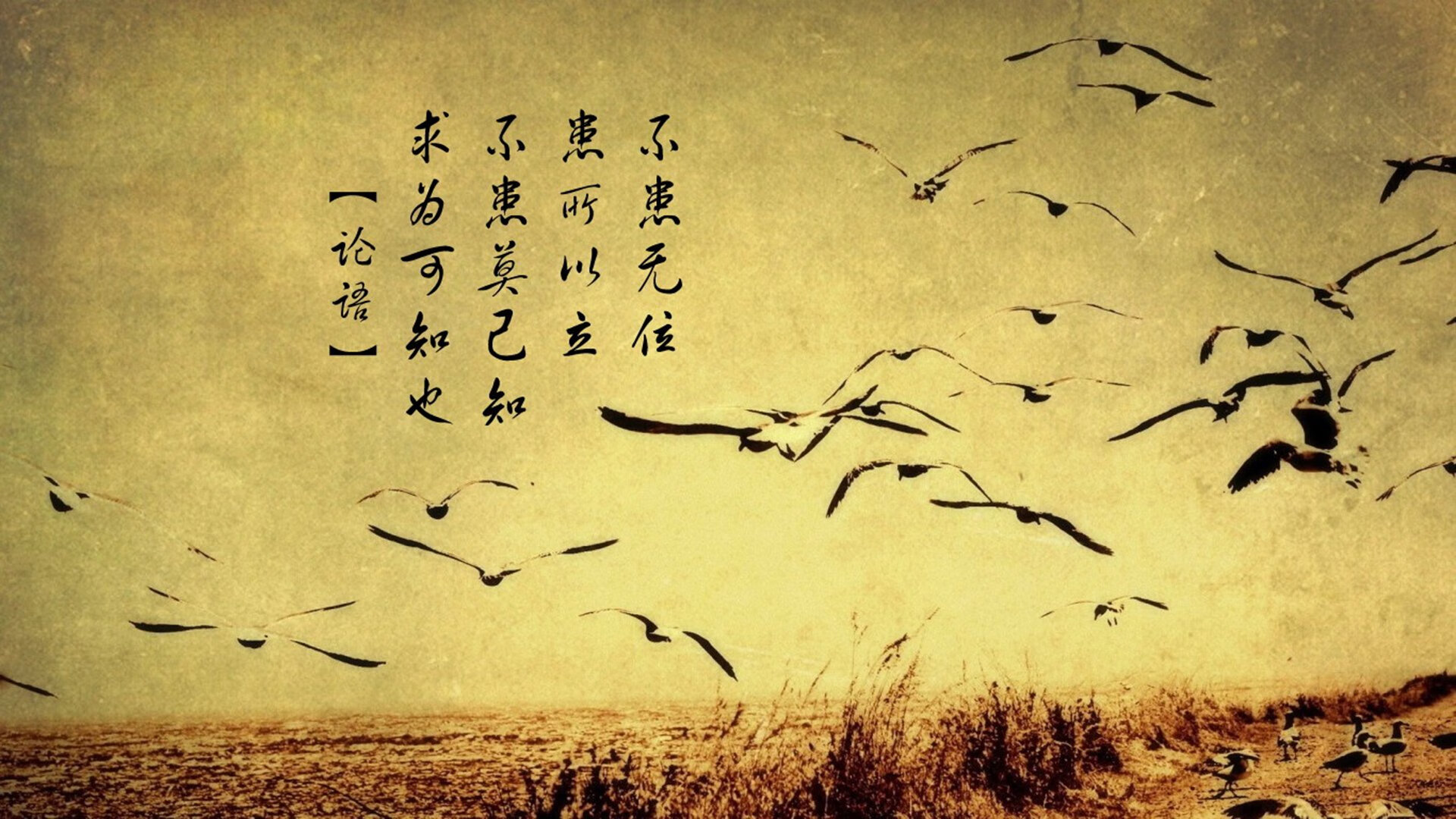 九游app官网下载-中国足球职业联赛推进球员场外行为规范，足球场人员