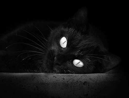 职业球员设立赛季读书计划提升文化素养形象,职业球员训练