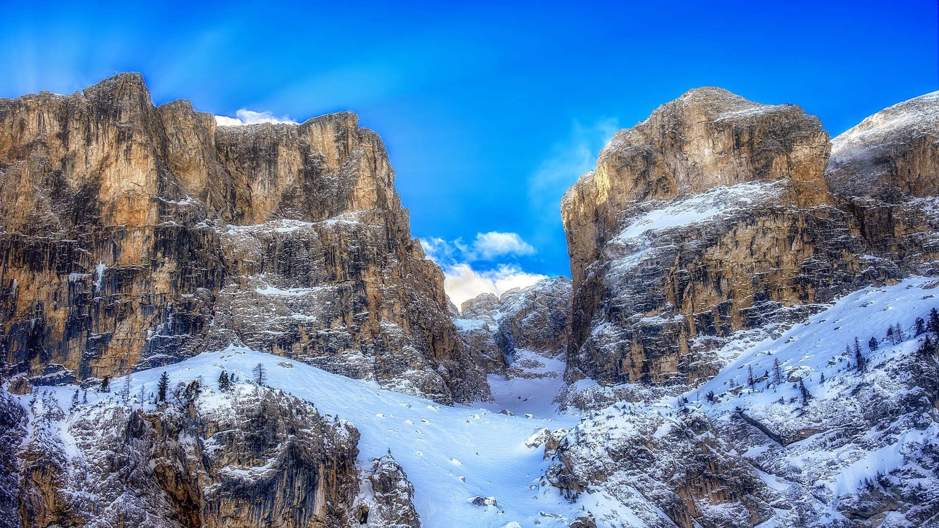 麦金托什决赛发挥稳定赢得喝彩,麦金托什评价